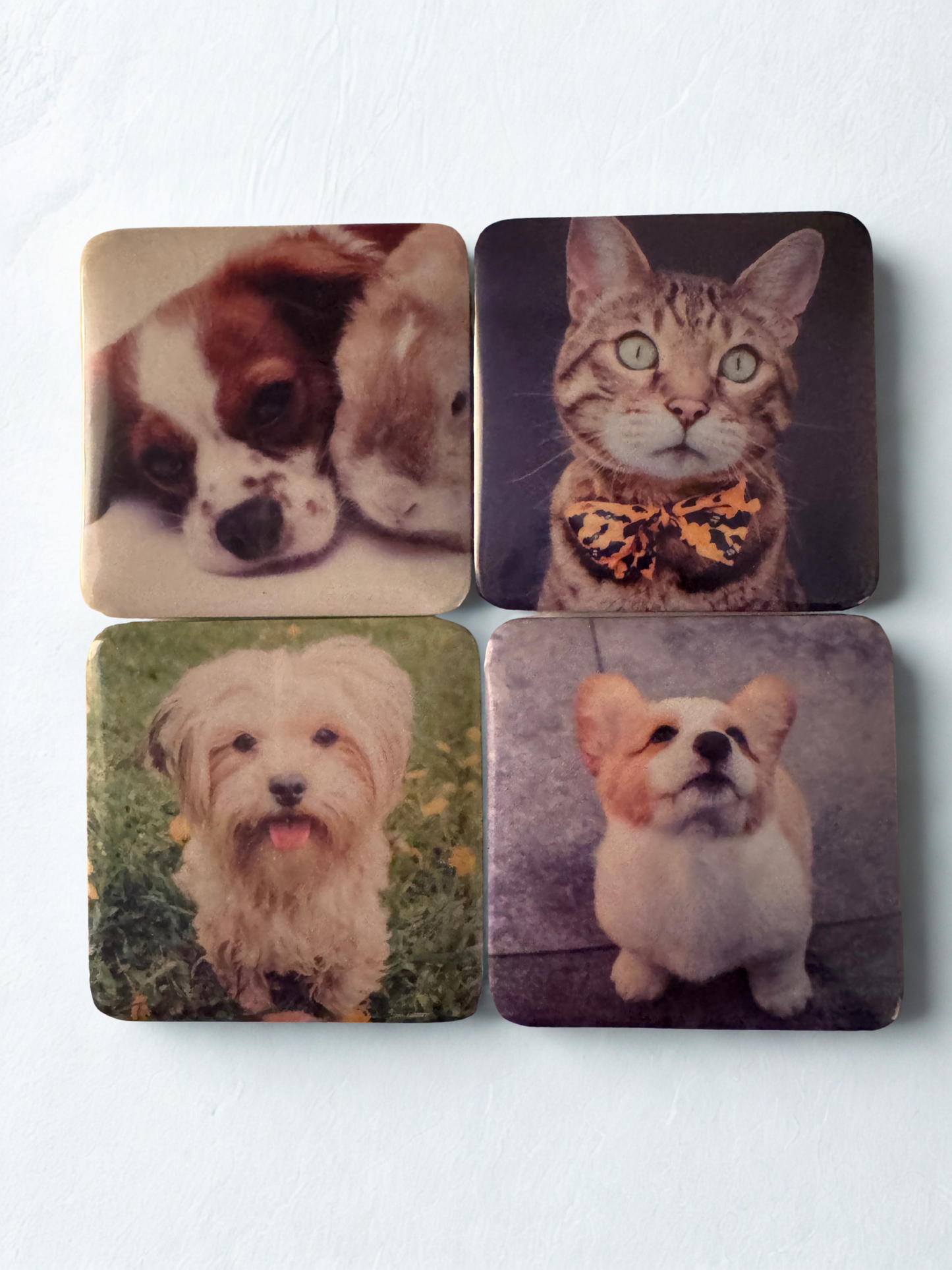 12 - 2in x 2in Square Custom Photo Magnets or Pins